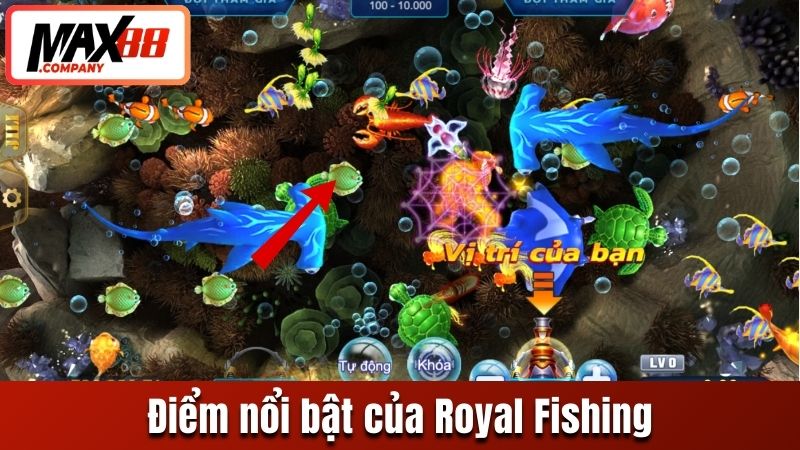 Điểm nổi bật của Royal Fishing
