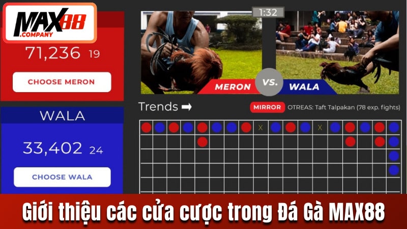 Giới thiệu các cửa cược đặc biệt trong trò chơi