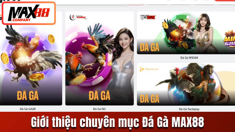 Giới thiệu sơ lược về chuyên mục Đá Gà MAX88