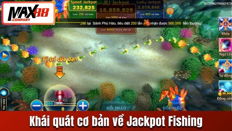 Khái quát cơ bản về Jackpot Fishing