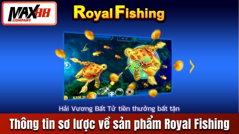 Thông tin sơ lược về sản phẩm Royal Fishing